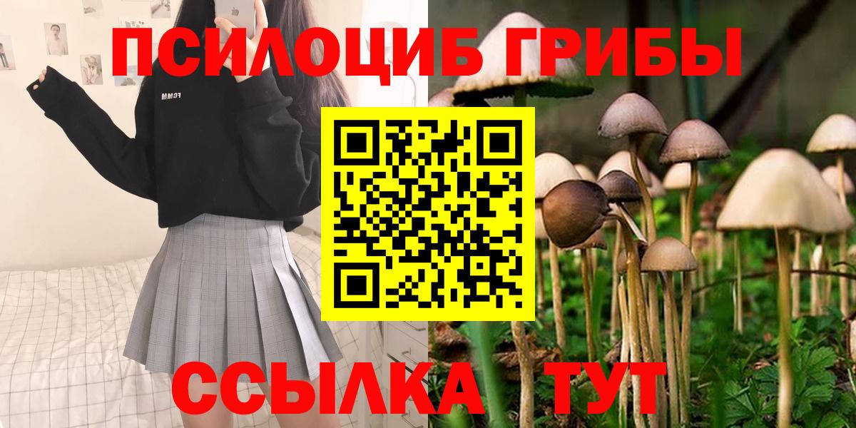 Псилоцибиновые грибы GOLDEN TEACHER Ипатово