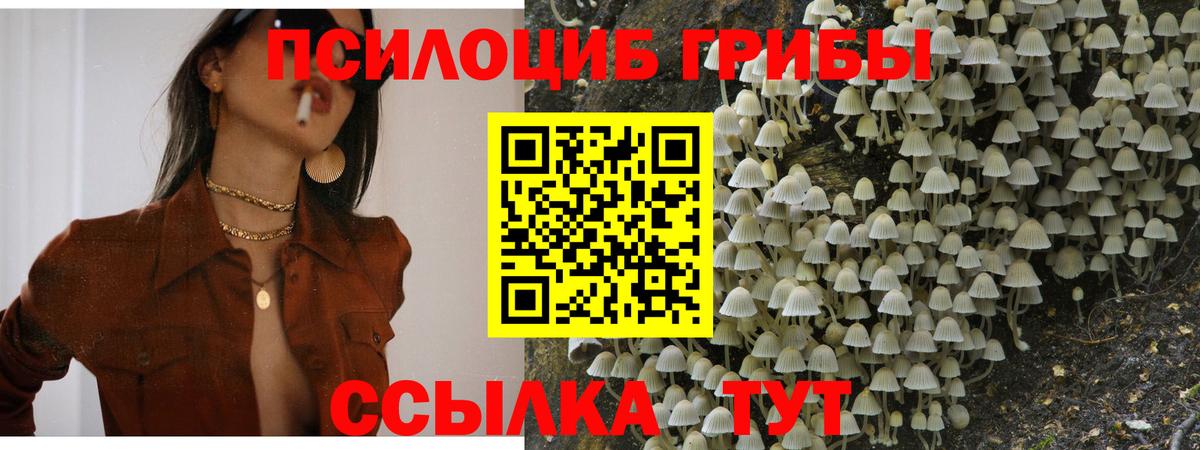 Псилоцибиновые грибы мицелий  Вход с VPN  Ипатово 